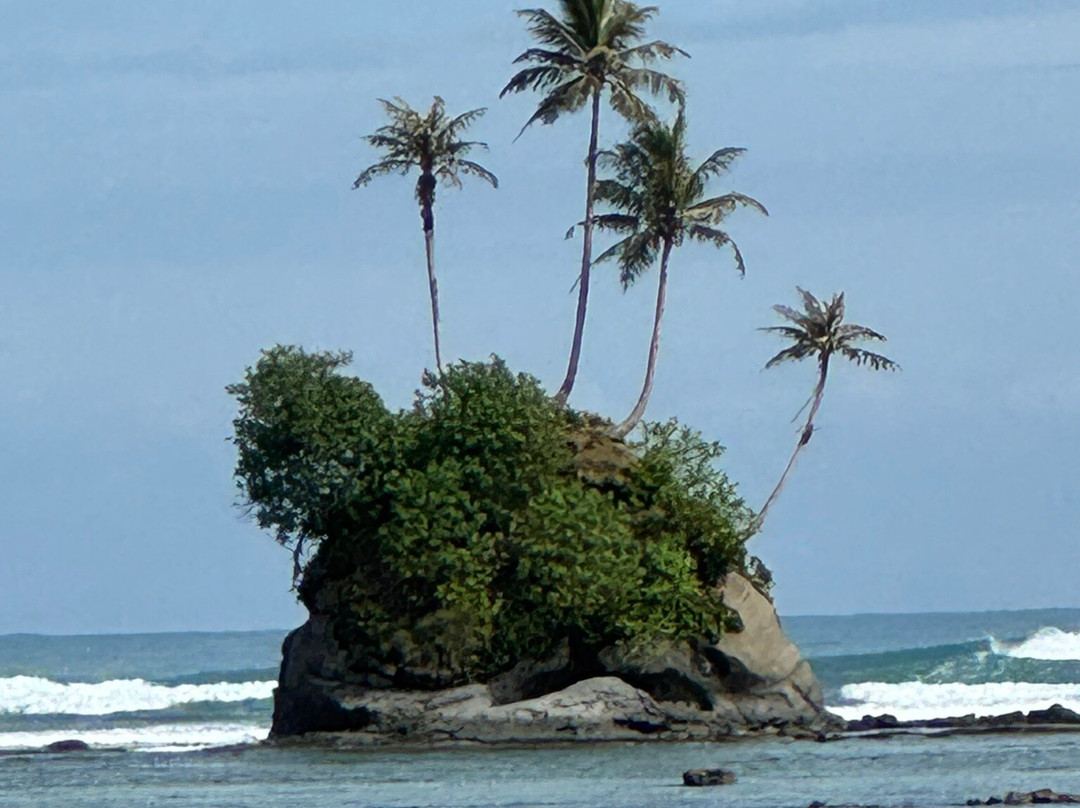 Mahi Mahi Surf Resort主图