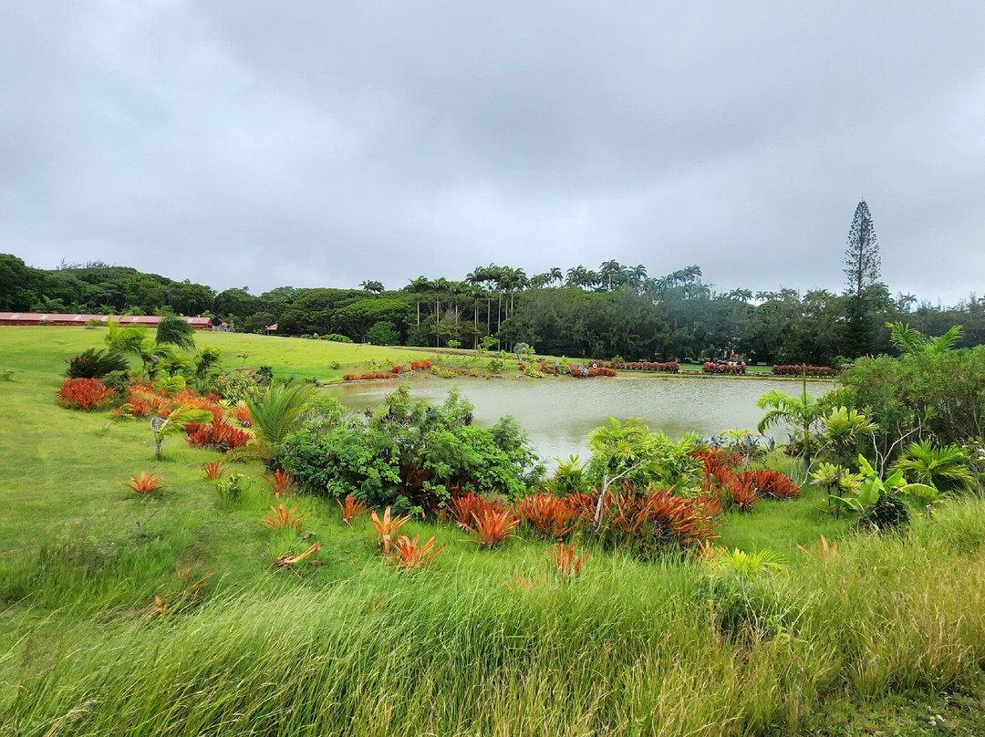 St. Nicholas Abbey Heritage Railway
