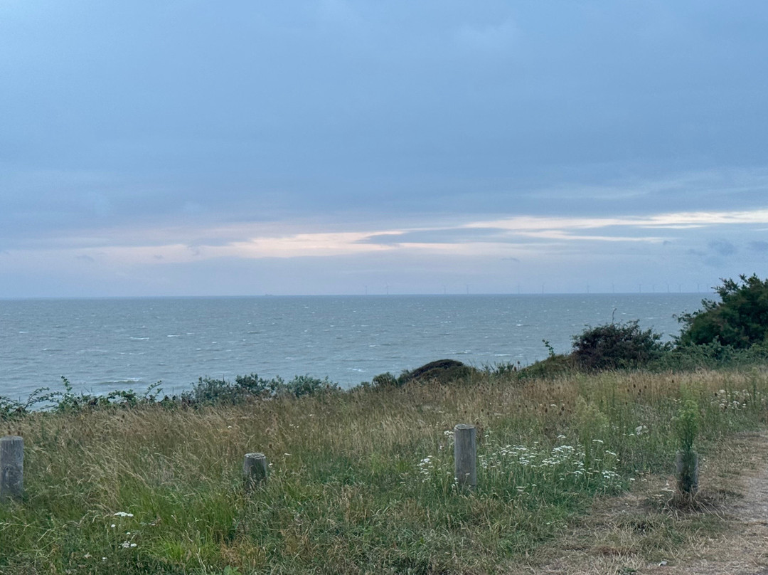 Royal Albion Walton主图