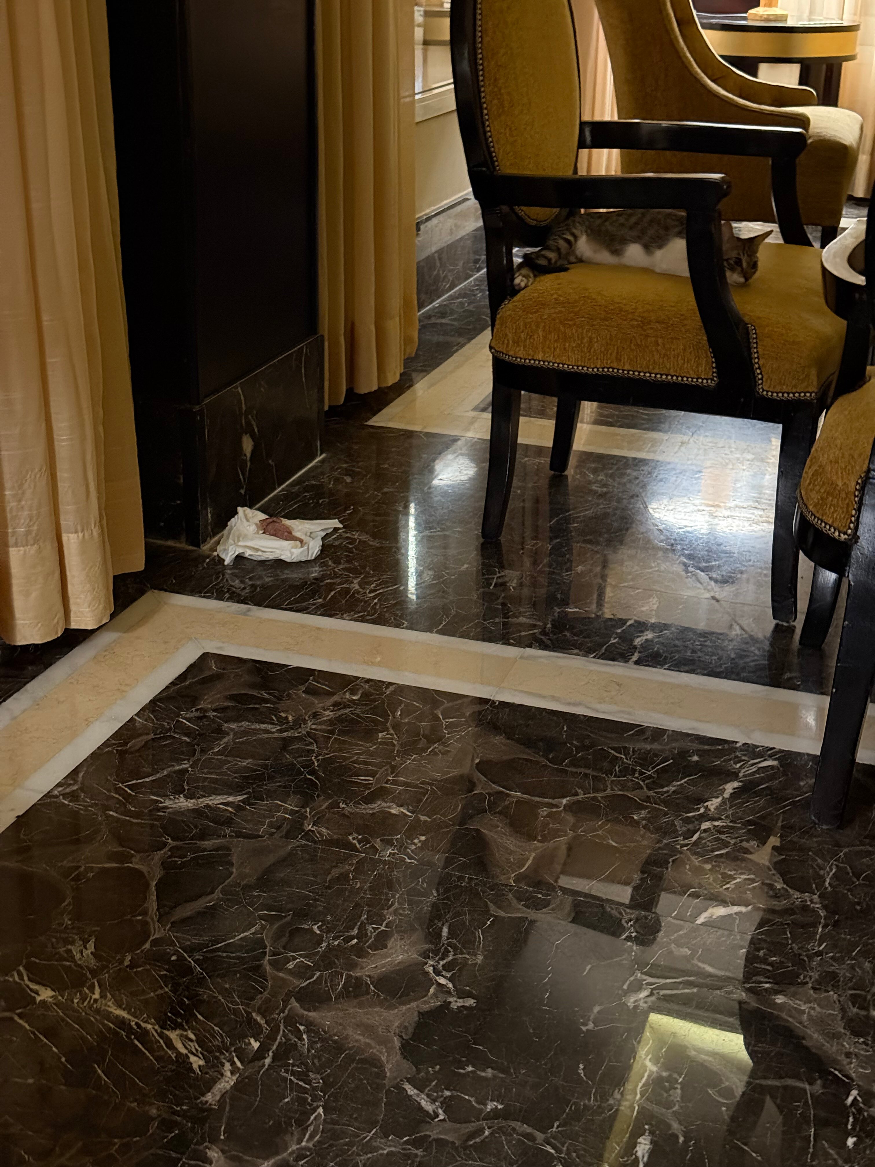 TUI MAGIC LIFE Kalawy-浴室