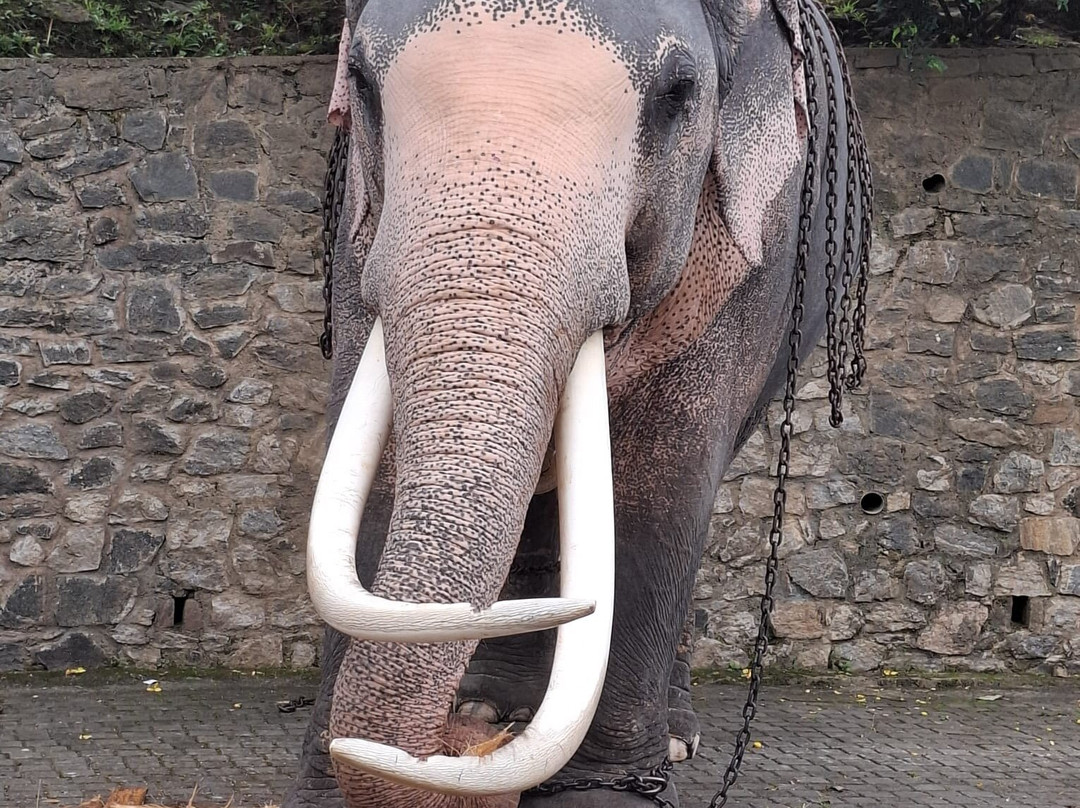 Relax Lanka Tours-尼甘布必去景点