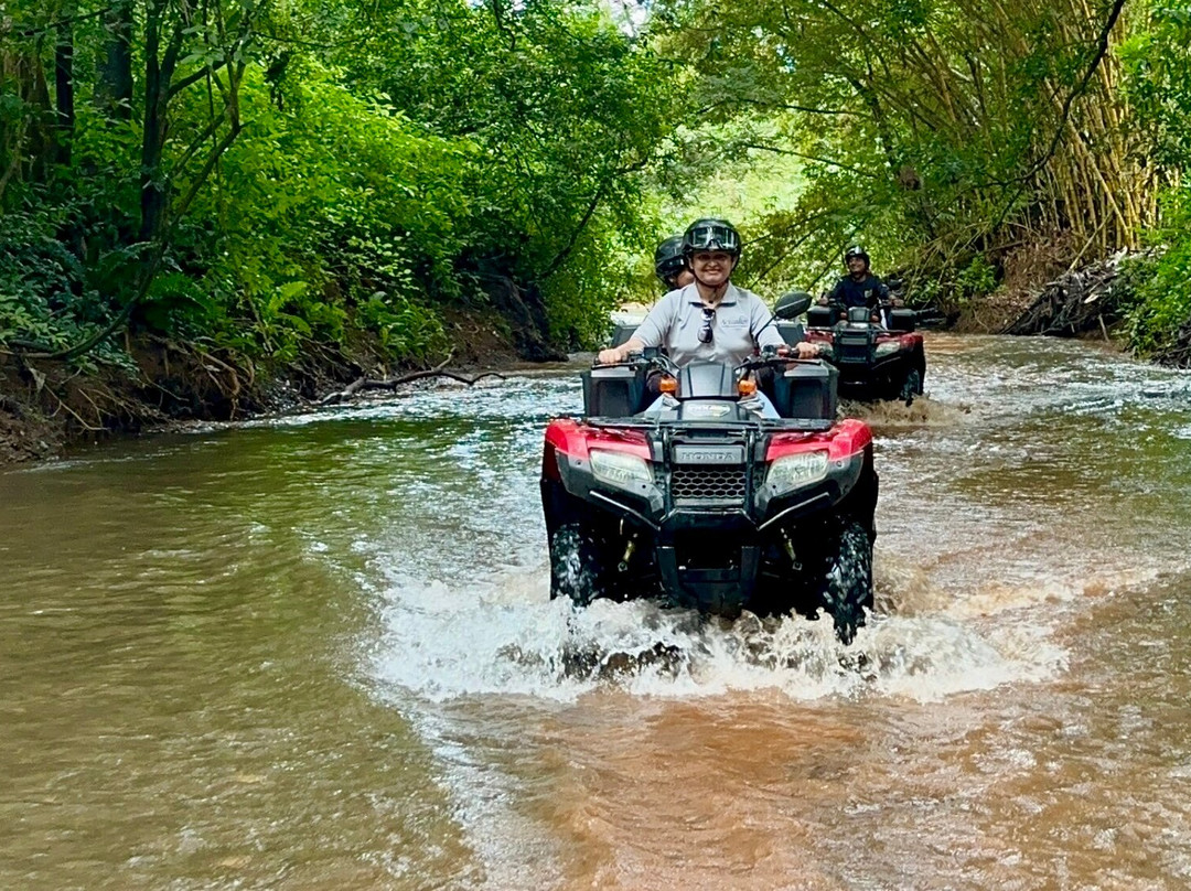 Pipin Rentals Nosara-诺萨拉必去景点