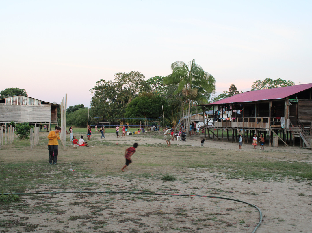 Expeditions George of the Jungle-莱蒂西亚必去景点