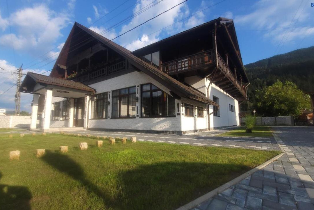 Vidra Dacica