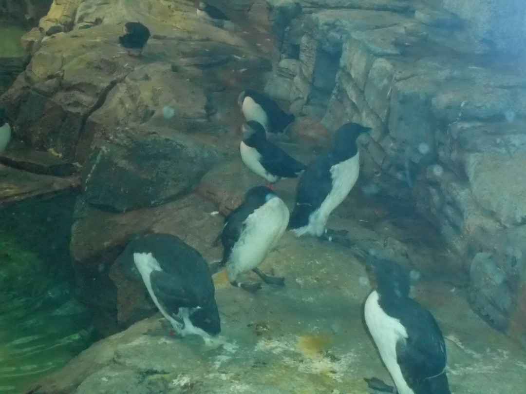 蒙特利尔自然生态博物馆-蒙特利尔必去景点