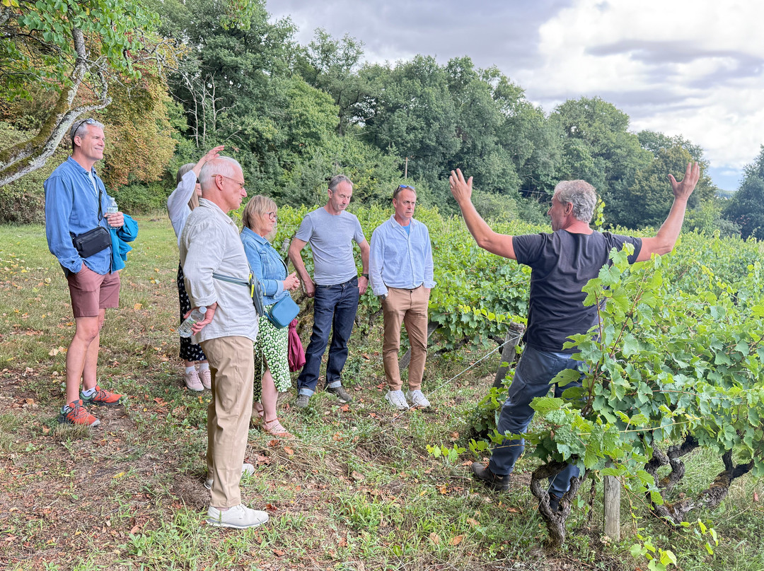 Le Tasting Room Wine - Day Tours-Noizay必去景点