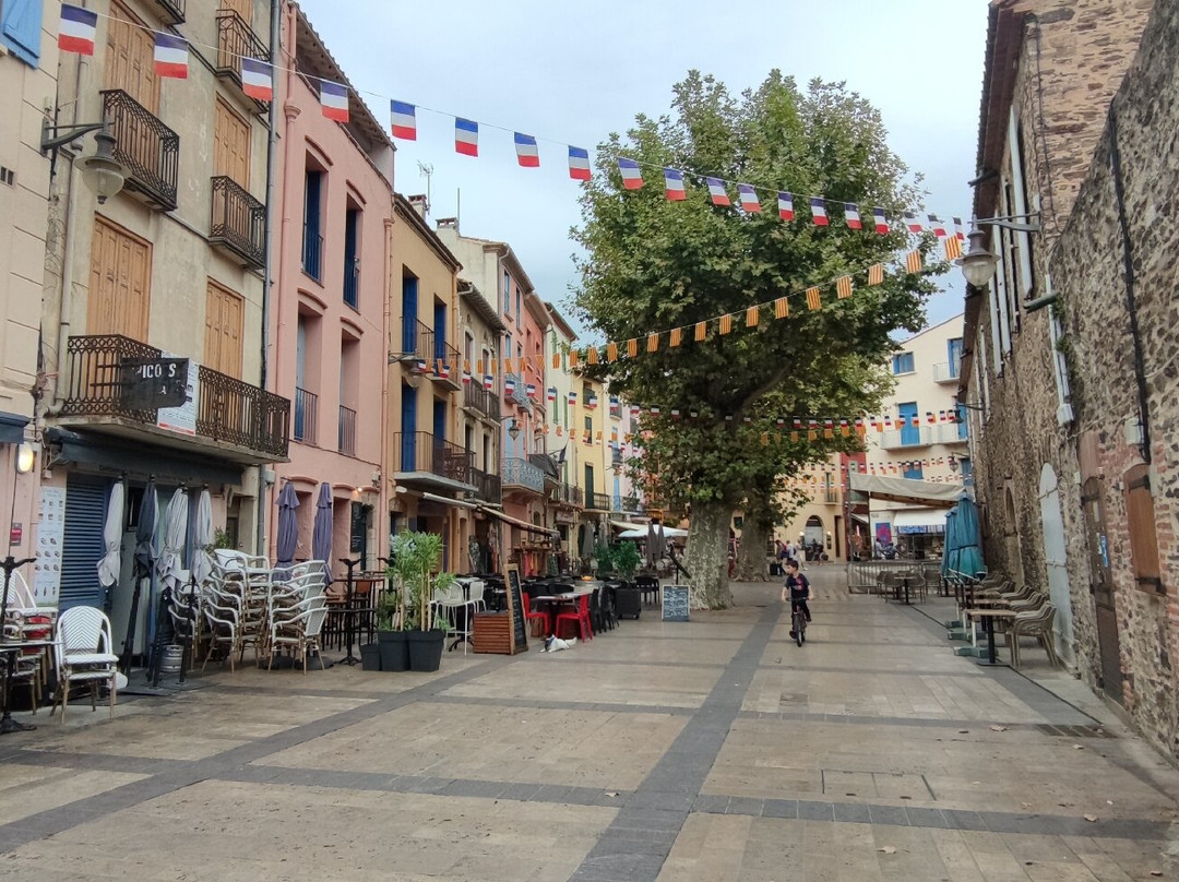 Quartier du Mouré-科利乌尔必去景点