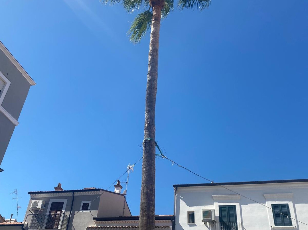 Borgo Medievale di Termoli-Termoli必去景点