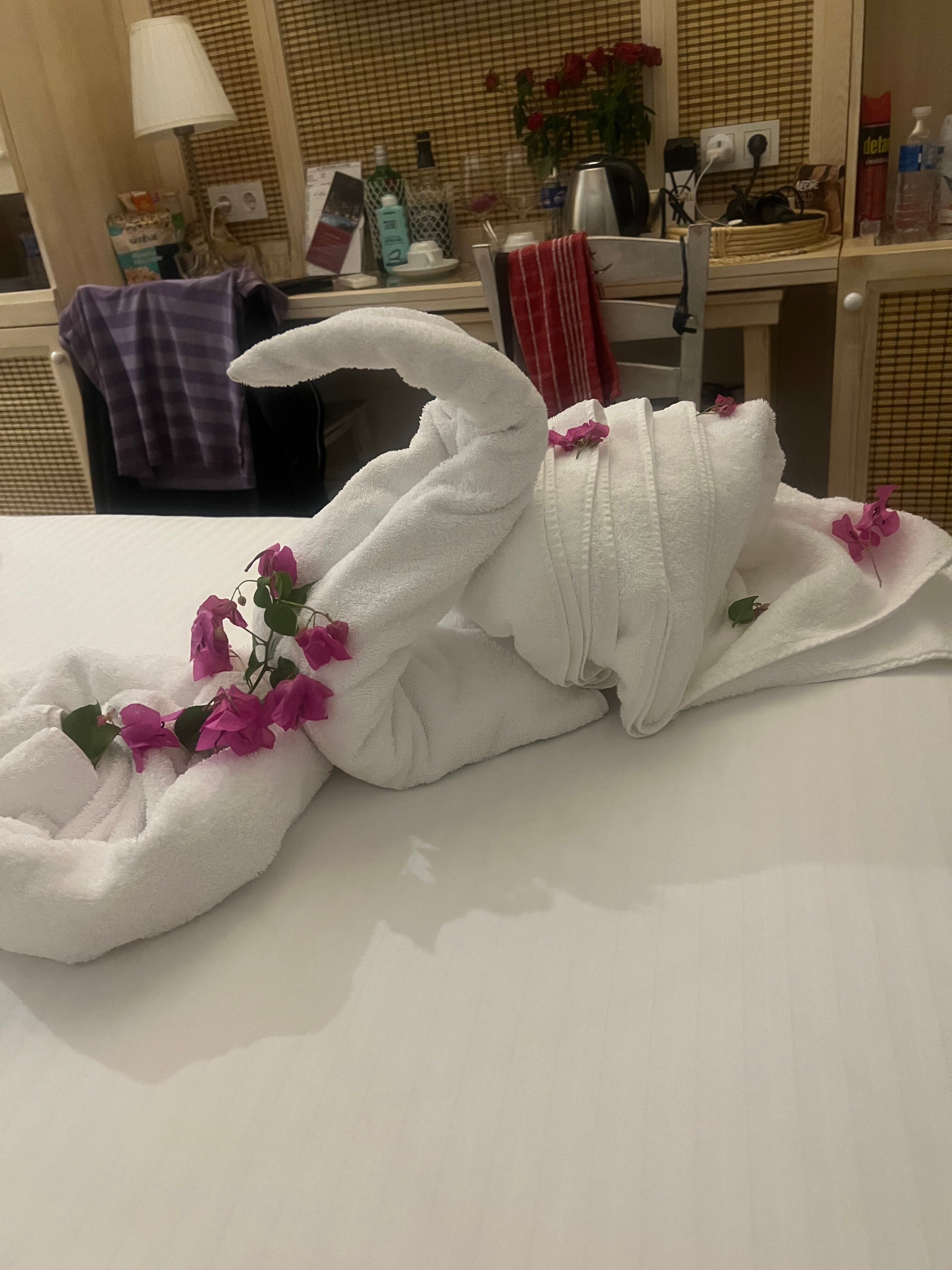 艾莉维诺套房酒店-官方