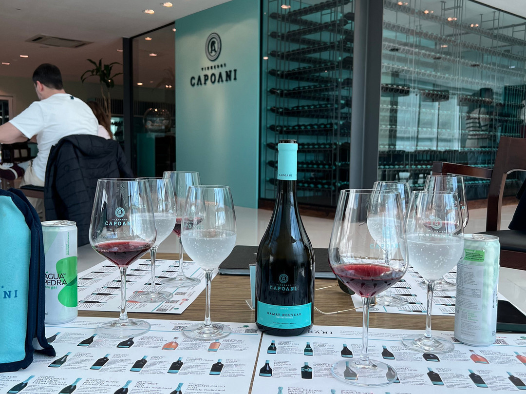 Vinhedos Capoani-本图贡萨尔维斯必去景点