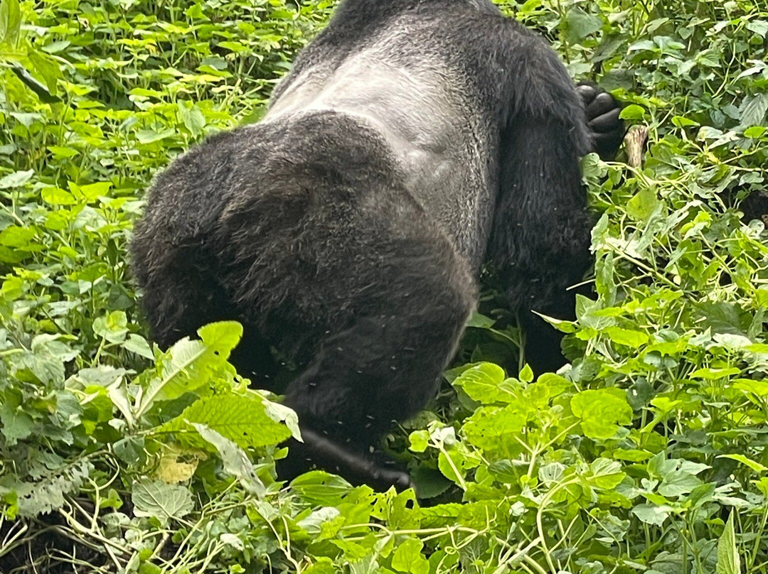 Wild Untouched Adventure-恩德培必去景点