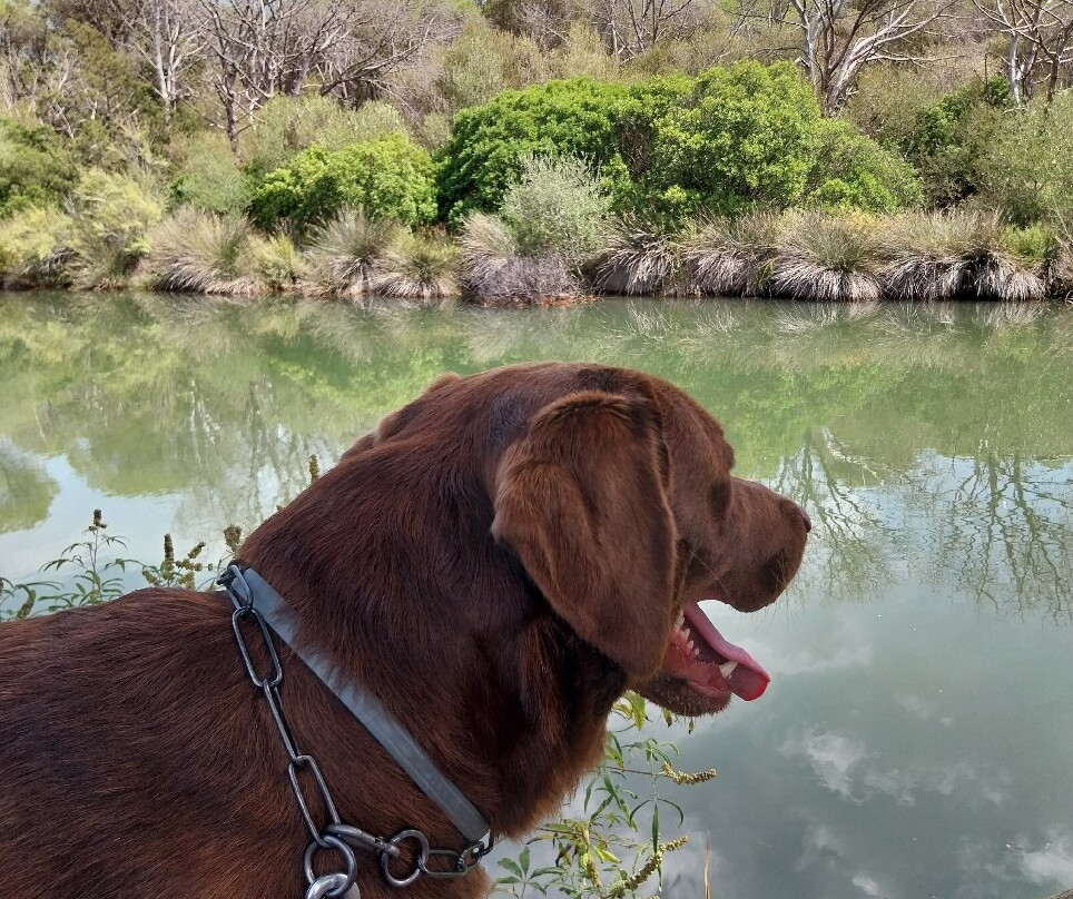 Spiaggia di Su Barone-奥罗塞必去景点