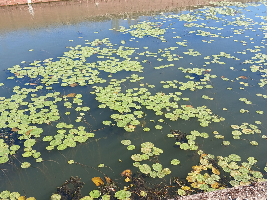Chesterfield Canal-切斯特菲尔德必去景点