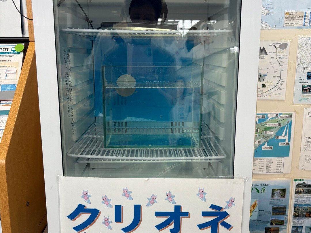 Michi-no-Eki Shari-斜里町必去景点