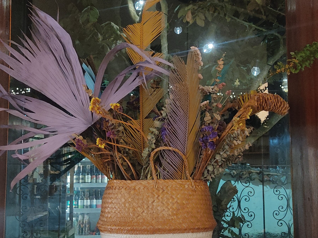 Amado • Café De Especialidad