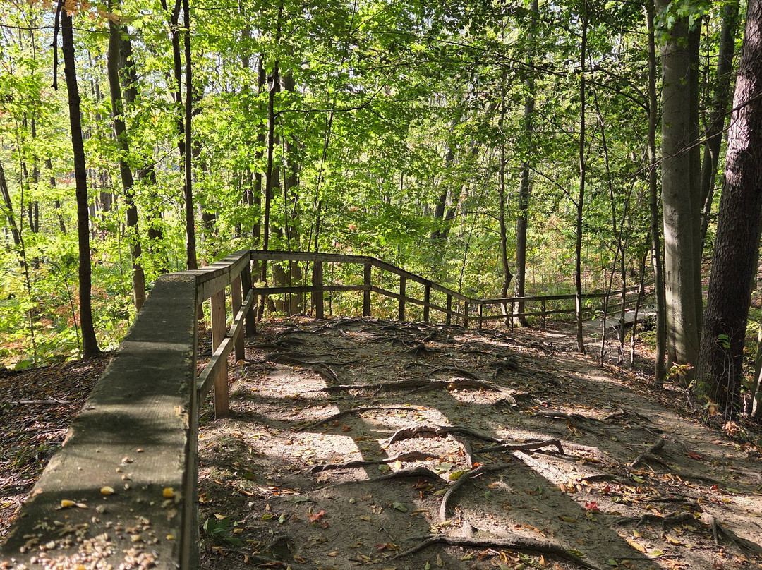 Westminster Ponds-伦敦必去景点