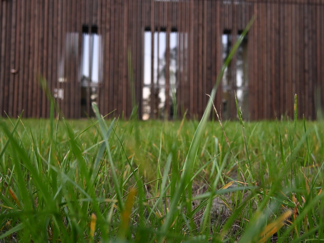 Muzeum Partyzantów Polskich Osuchy'44-Osuchy必去景点