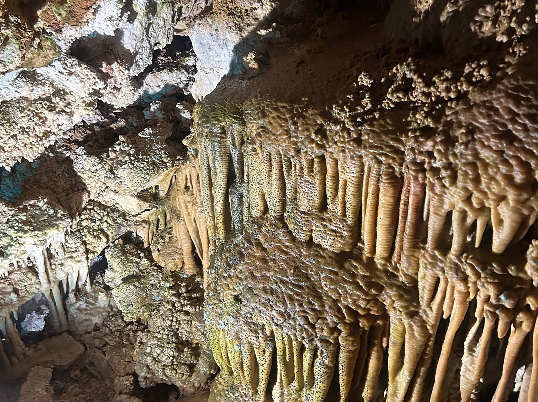 Cuevas de Genova-马洛卡帕尔马必去景点