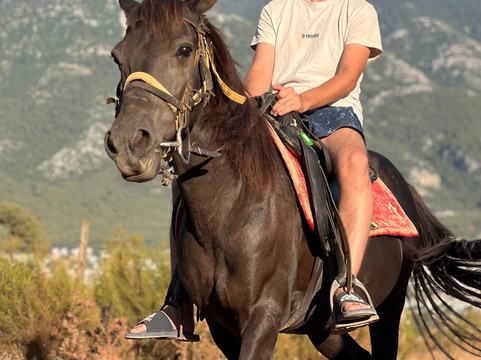 Family Horse Farm-厄吕代尼兹必去景点