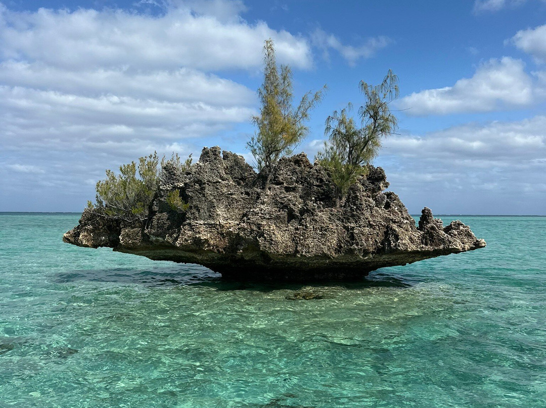 Karlos Excursions-莫纳山必去景点