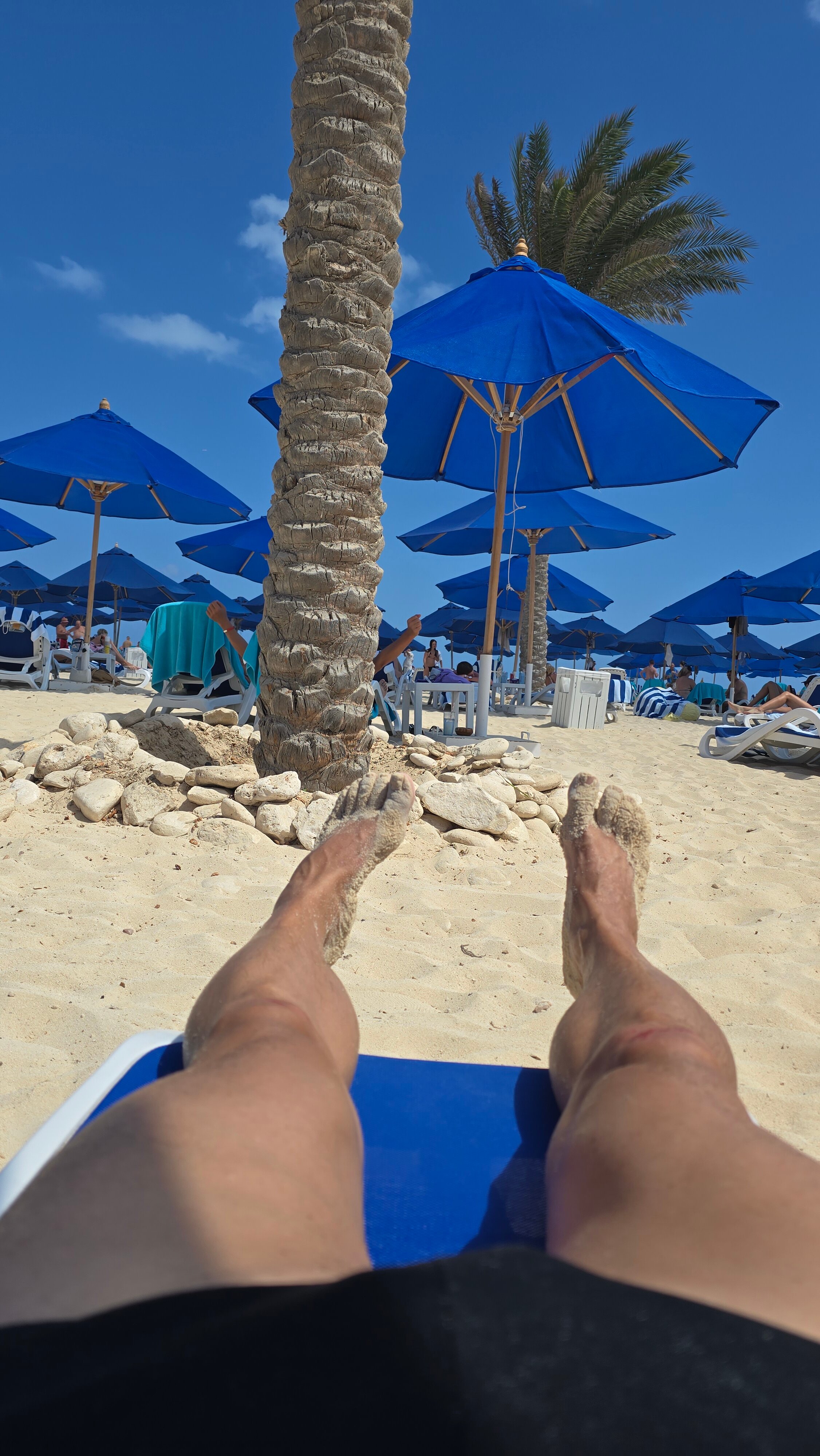 Rixos Premium Alamein-泳池