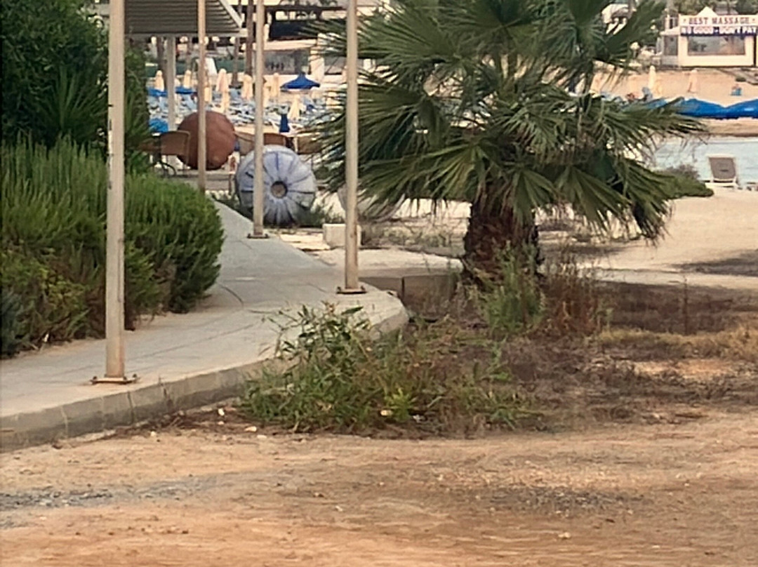 Vathia Gonia Beach-阿依纳帕必去景点