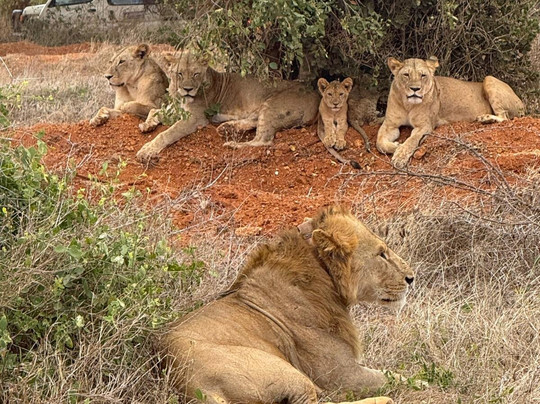 Escursioni Kenya Peperone-瓦塔木必去景点