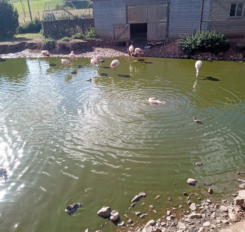 Bird Gardens Scotland Cic-Oxton必去景点