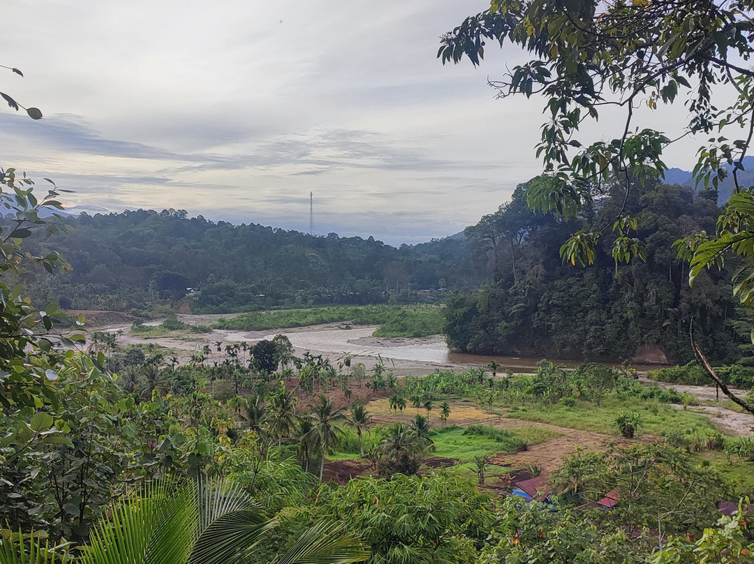 Rudy Ketambe Sumatra Jungle Trekking-Ketambe必去景点