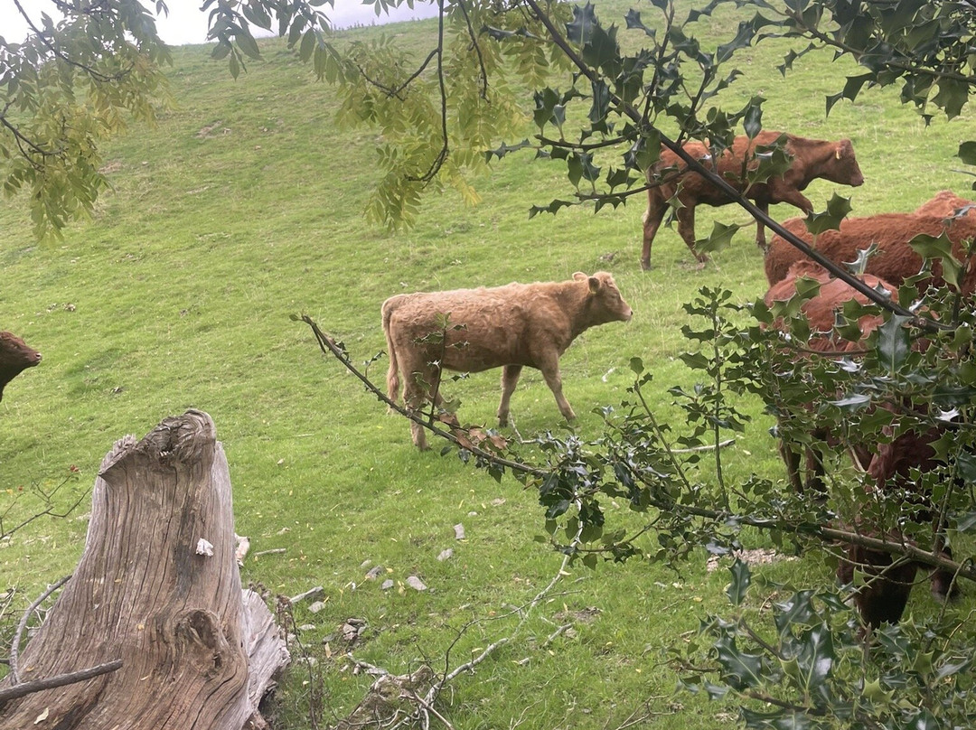 Castell Dinas Bran-兰戈伦必去景点