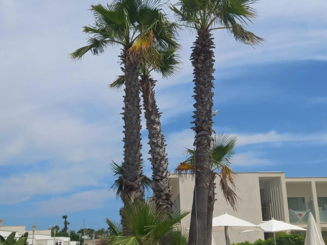 Marelive - CDSHotels主图