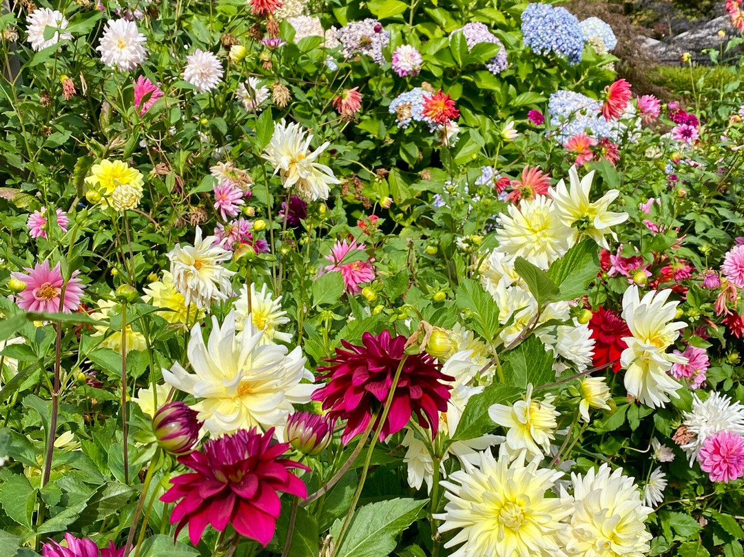 Chateau Ste. Michelle Winery-伍丁维尔必去景点