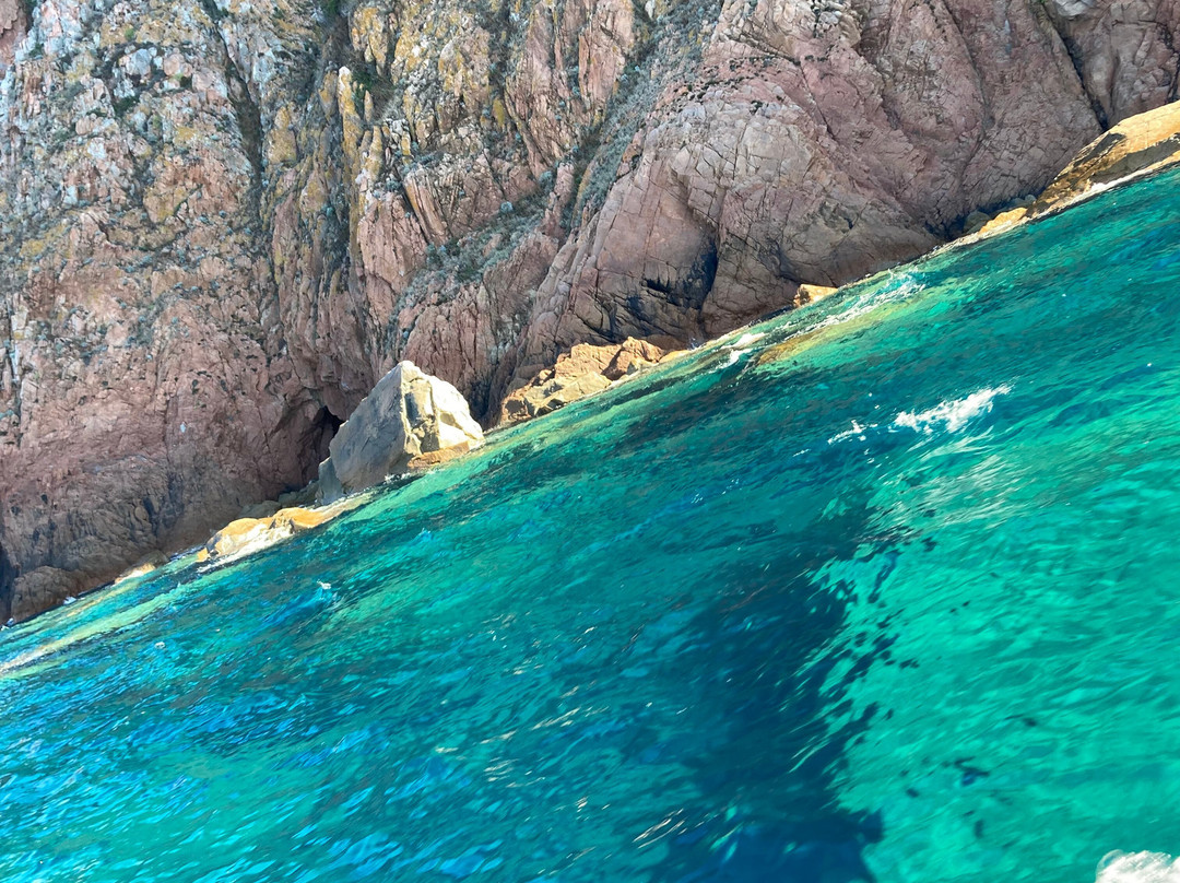 Le Pass Partout-Porto必去景点