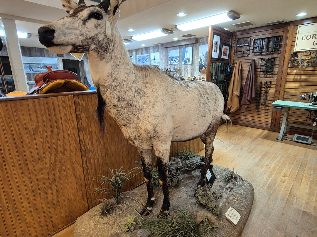 King Ranch Saddle Shop-Kingsville必去景点