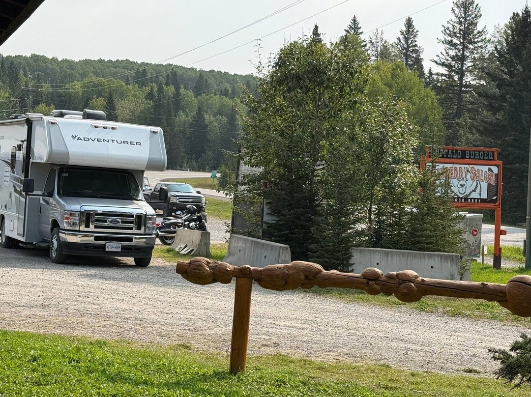 Bearberry Saloon-桑德必去景点