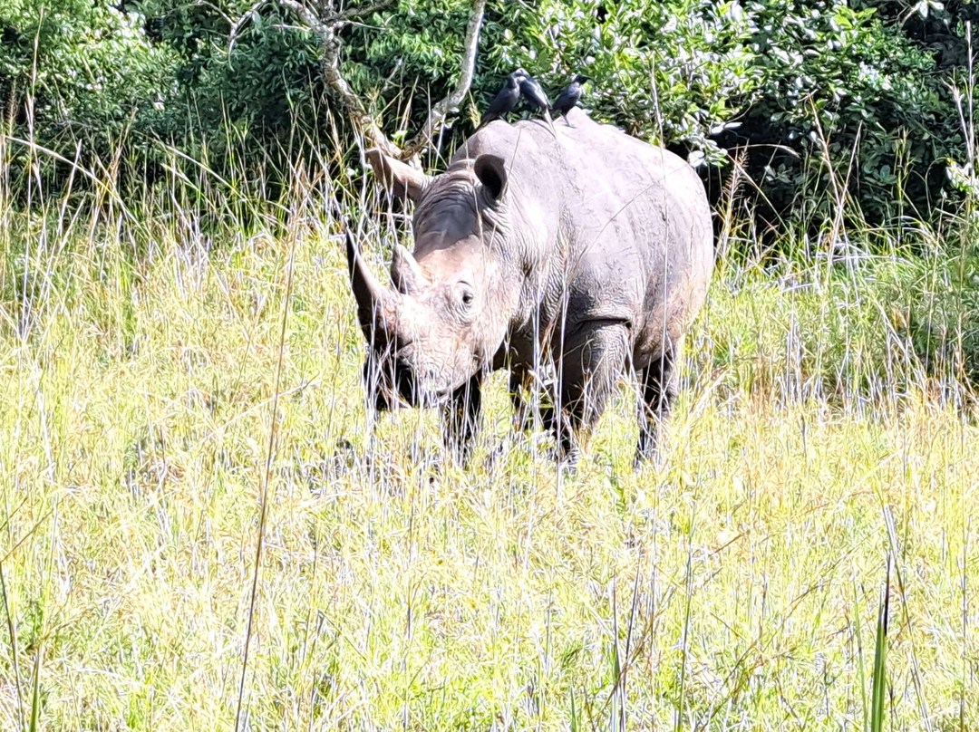 Kigezi Vima Safaris-Kibale National Park必去景点