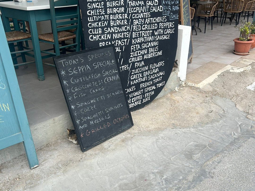 House of Gyros主图