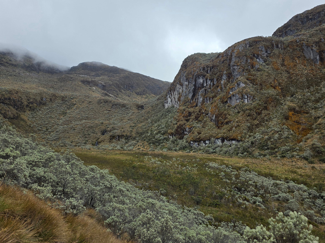 Somos Monos Travel-佩雷拉必去景点