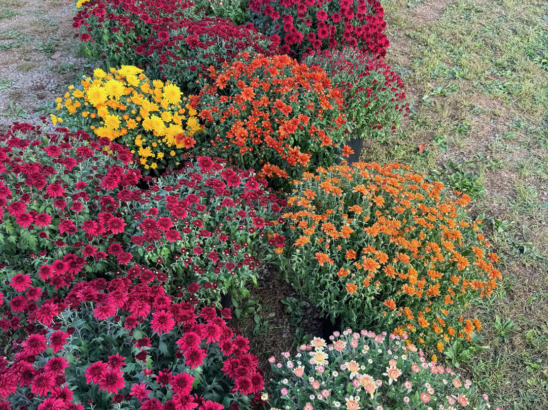 Pumpkinville-Great Valley必去景点