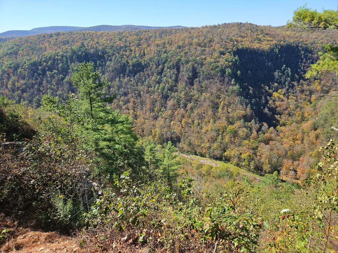 Leonard Harrison State Park-Wellsboro必去景点