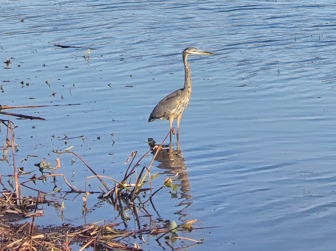 Marais de la Riviere aux Cerises-梅戈格必去景点