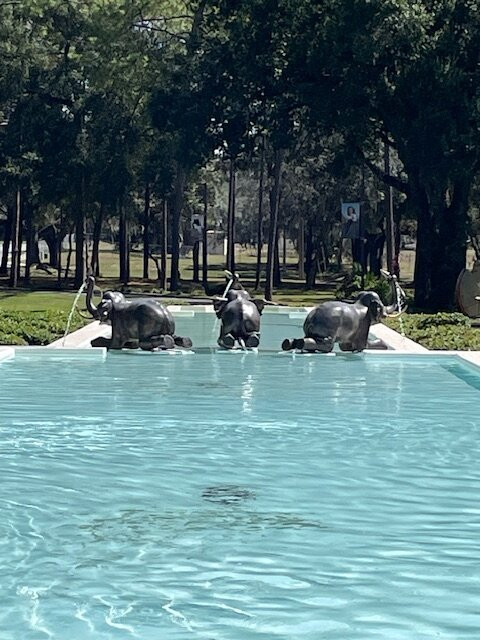 Appleton Museum of Art-奥卡拉必去景点