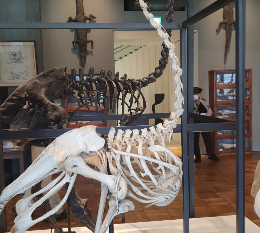 JP Tower Museum Intermediatheque-Marunouchi必去景点