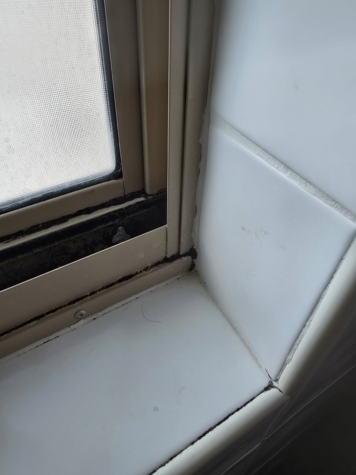 Mantra Mackay-官方