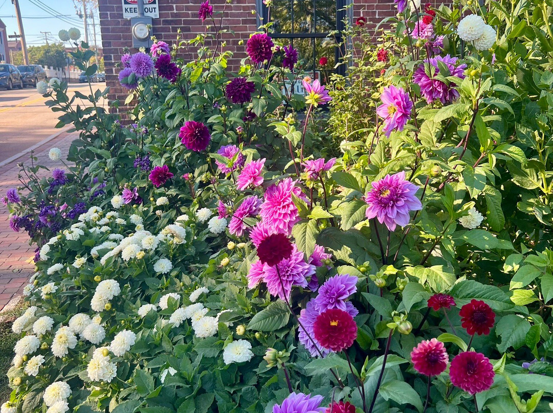 Prescott Park-朴次茅斯必去景点