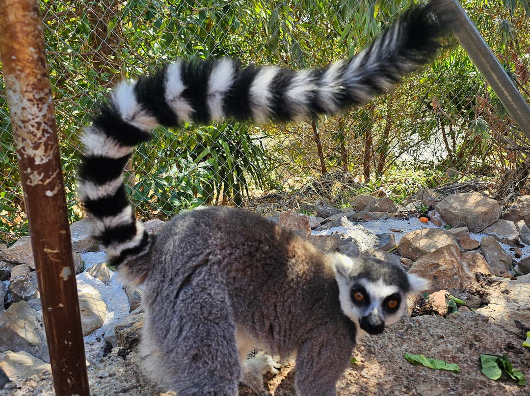 Amazonas Park-Kourounes必去景点