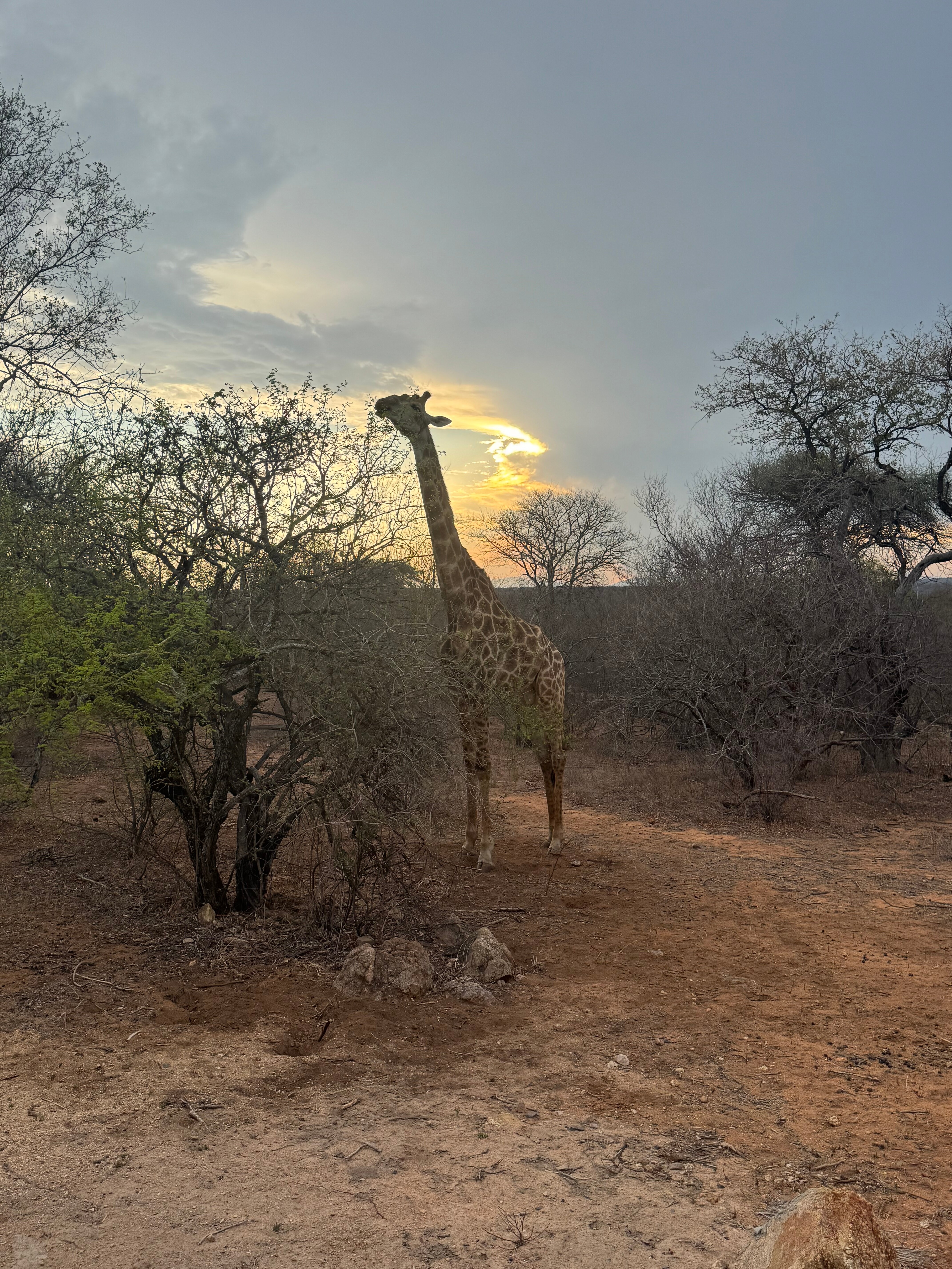 Oase By 7 Star Lodges-浴室