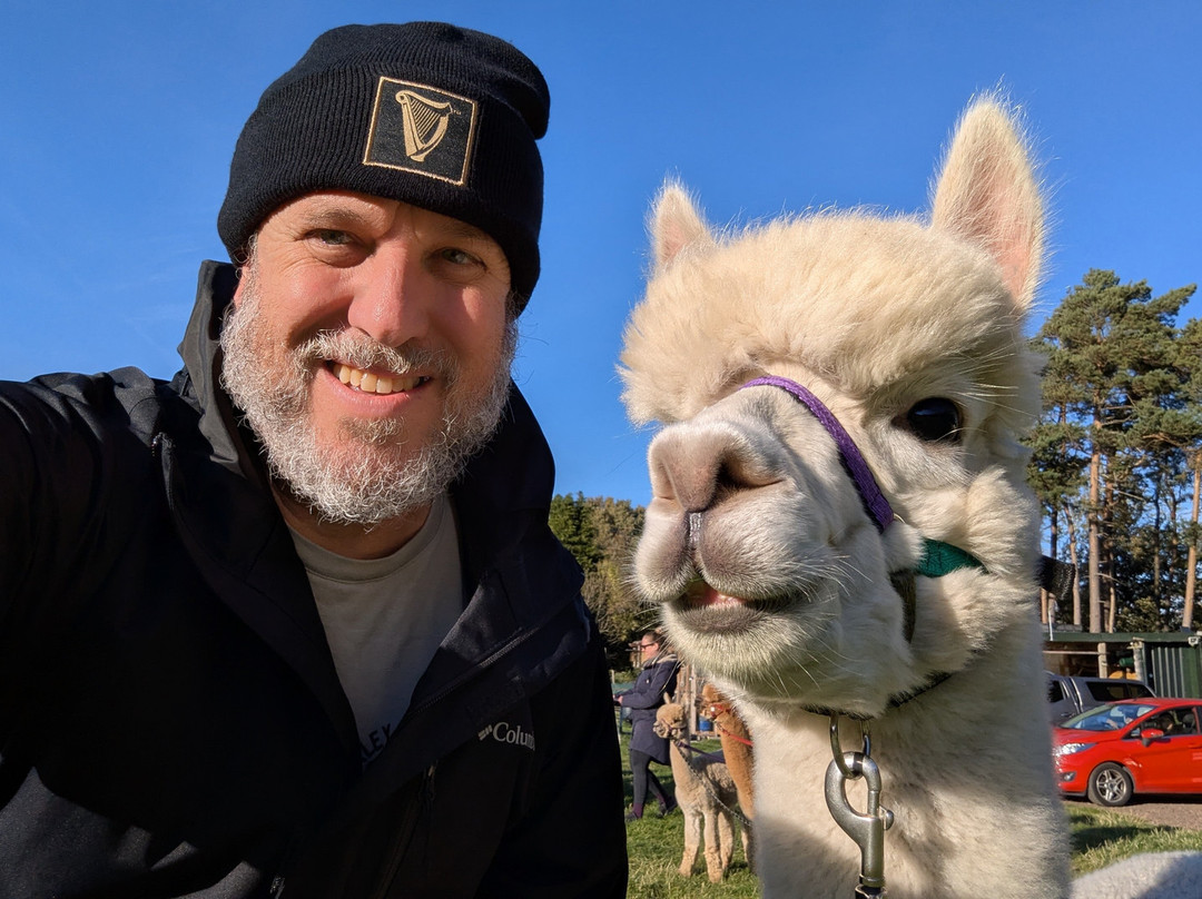 BobCat Alpacas-爱丁堡必去景点