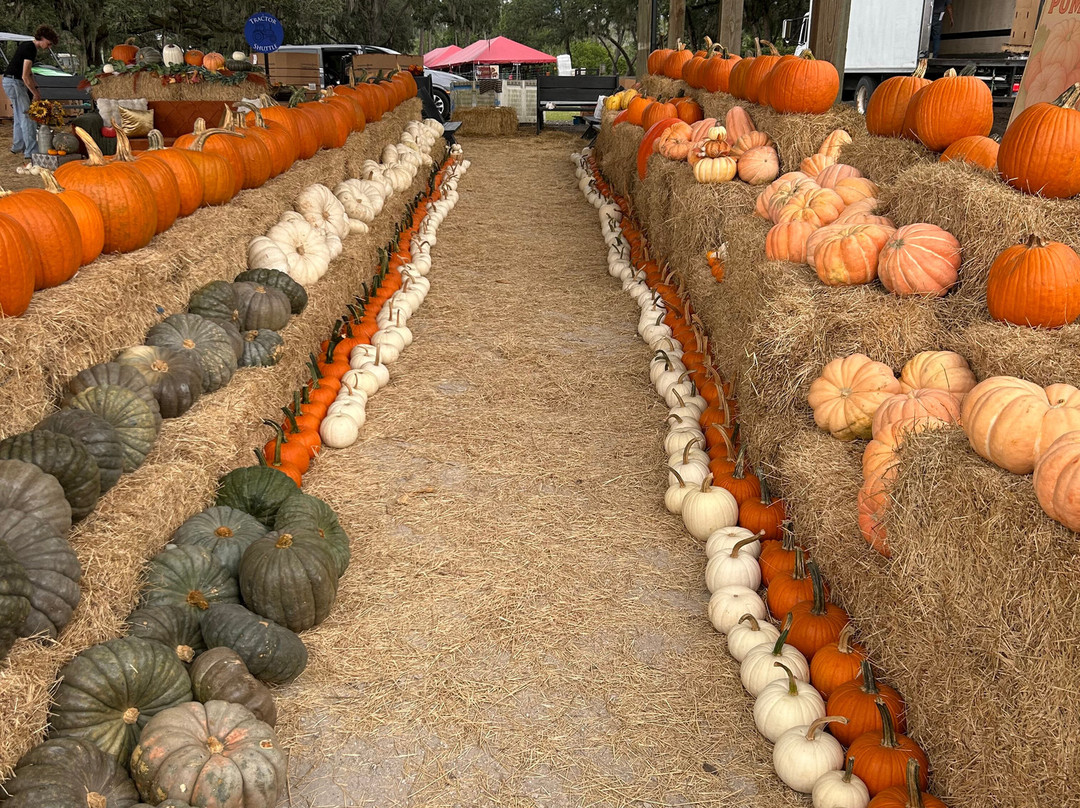 Amber Brooke Farms Eustis-Eustis必去景点