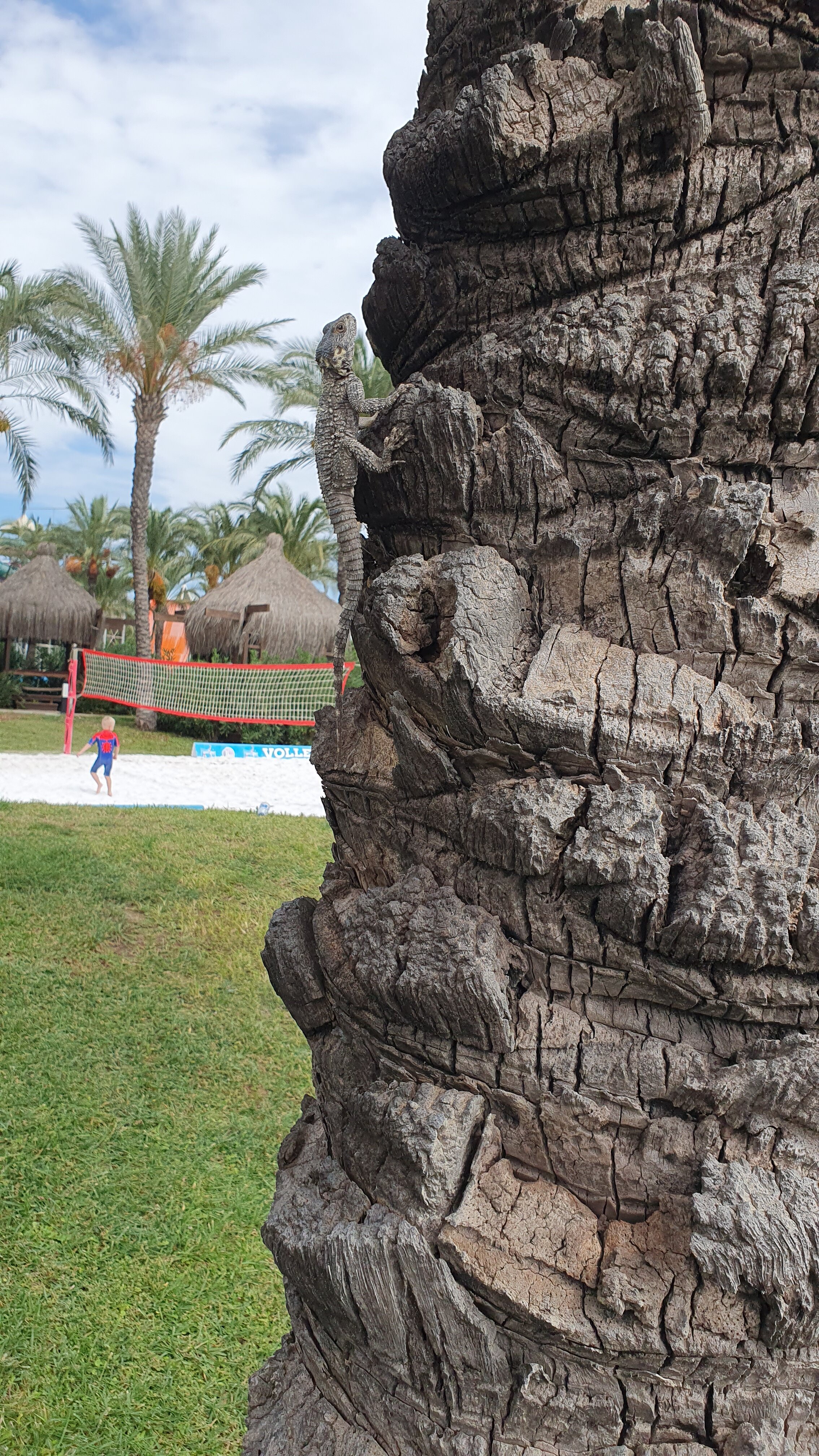 Ic Hotels Green Palace & Villas-浴室